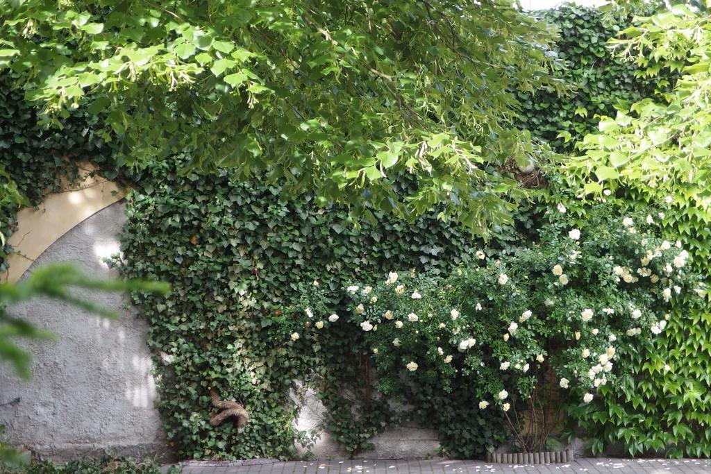 Patio Apartamenty I Pokoje Niechorze Buitenkant foto